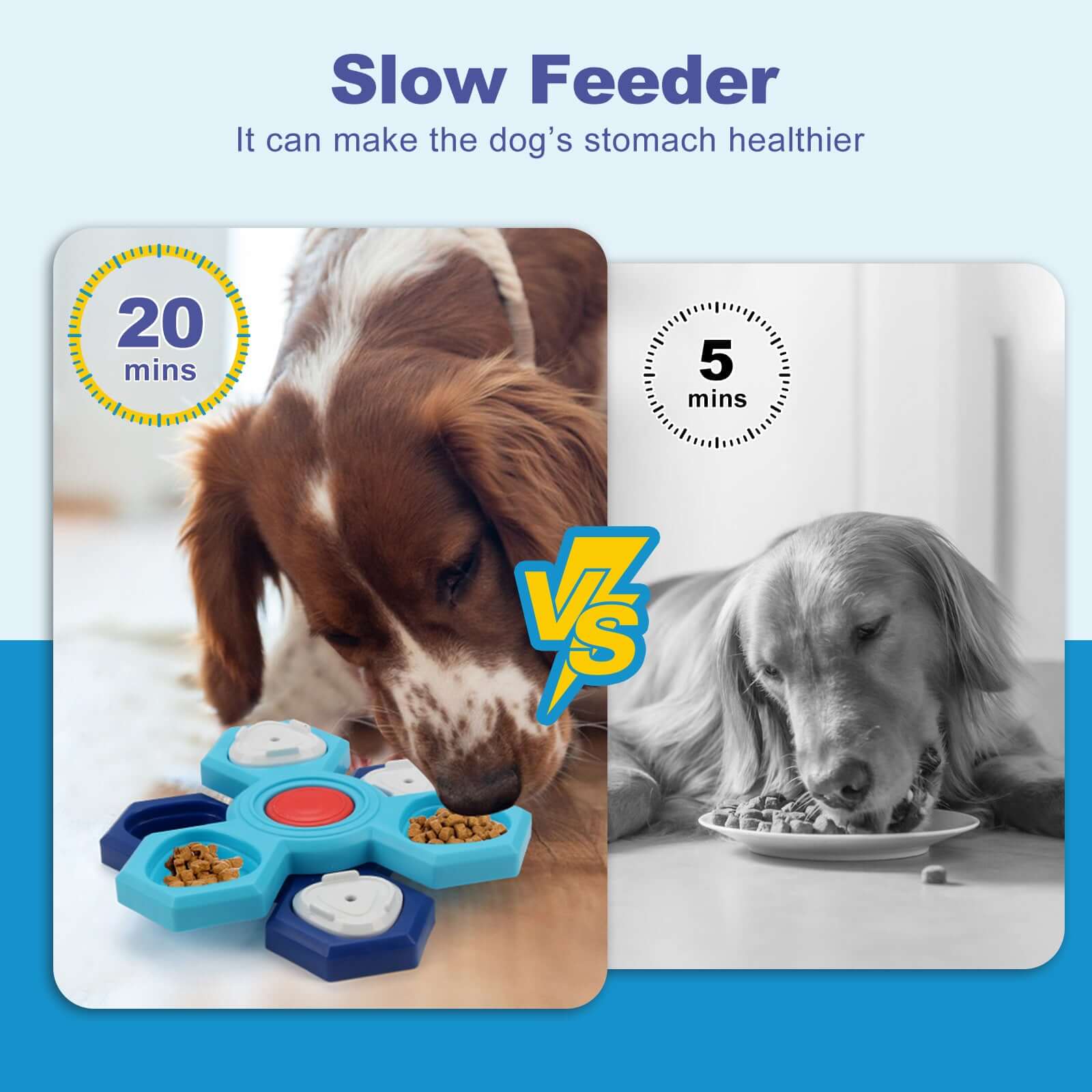 4 Layers Slow Feeder Puzzle Dog Bowls